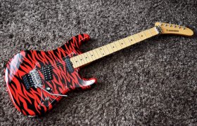 Re 39x.JP Zebra